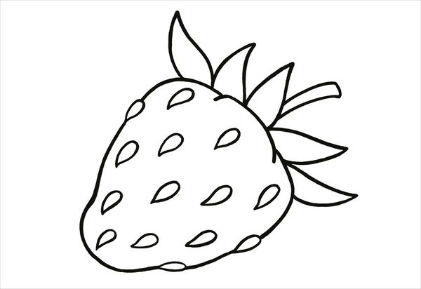 Produktbild: Erstes Malbuch. Garten