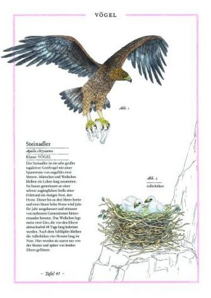 Produktbild: Steinbock, Adler, Edelwei&szlig;
