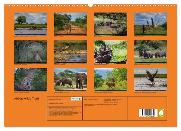 Produktbild: Afrikas wilde Tiere (hochwertiger Premium Wandkalender 2026 DIN A2 quer), Kunstdruck in Hochglanz