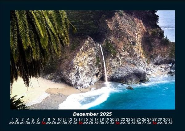 Produktbild: Palmen 2025 Fotokalender DIN A5