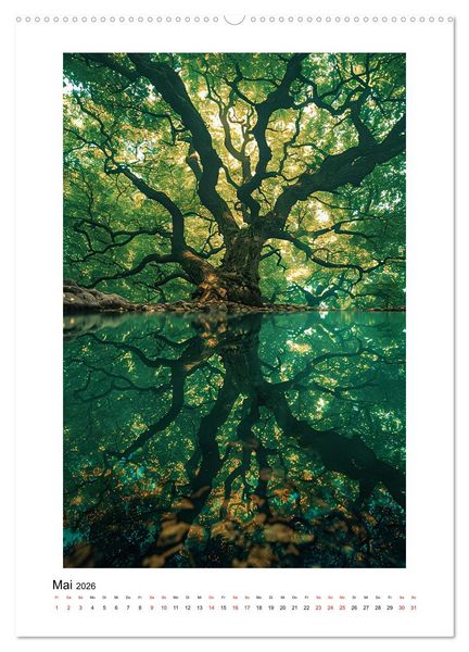 Produktbild: Spiegelungen - Reflektierte Sch&ouml;nheiten der Natur (Wandkalender 2026 DIN A2 hoch), CALVENDO Monatskalender