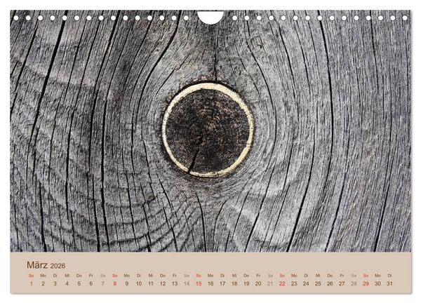 Produktbild: Farben des Holzes (Wandkalender 2026 DIN A4 quer), CALVENDO Monatskalender