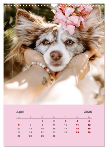 Produktbild: Du und ich - Dreamteamfotografie - Mensch und Hund (Wandkalender 2026 DIN A3 hoch), CALVENDO Monatskalender