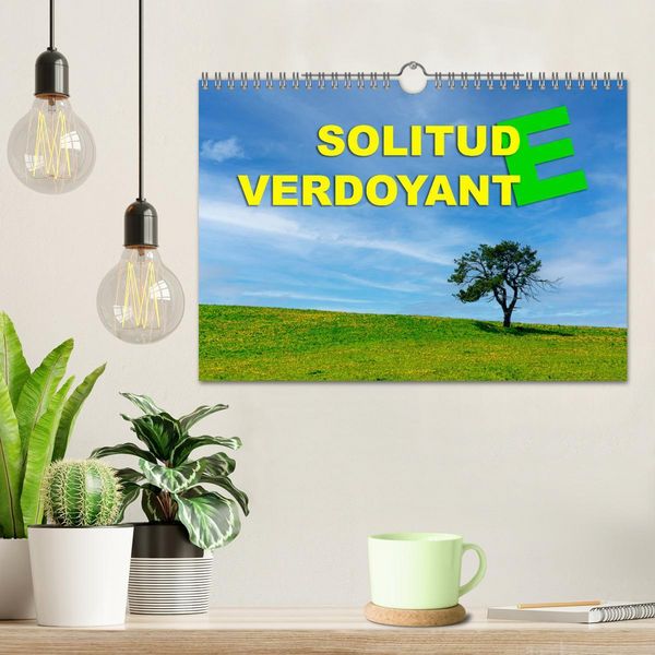 Produktbild: Solitude verdoyante (Calendrier mural 2026 DIN A4 vertical), CALVENDO calendrier mensuel