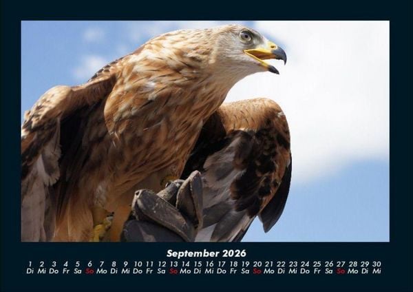 Produktbild: Adler 2026 Fotokalender DIN A4