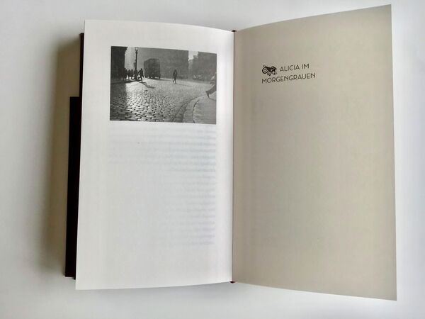 Produktbild: Der Friedhof der vergessenen B&uuml;cher