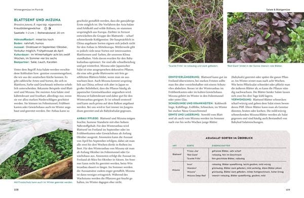 Produktbild: Wintergem&uuml;se anbauen