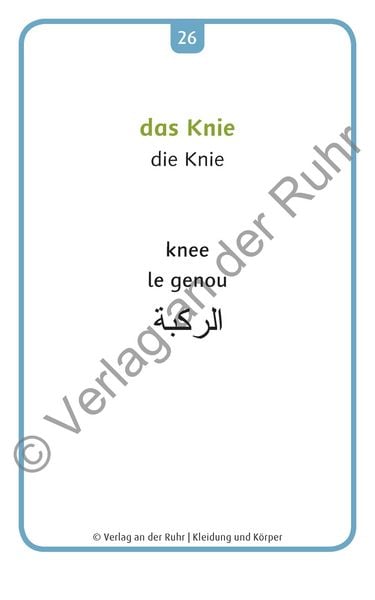 Produktbild: Kleidung und K&ouml;rper - Deutsch, Englisch, Franz&ouml;sisch und Arabisch