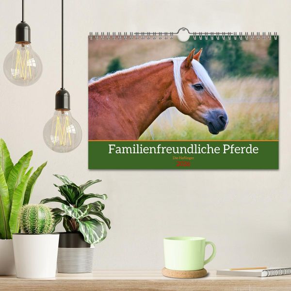 Produktbild: Familienfreundliche Pferde (Wandkalender 2026 DIN A4 quer), CALVENDO Monatskalender