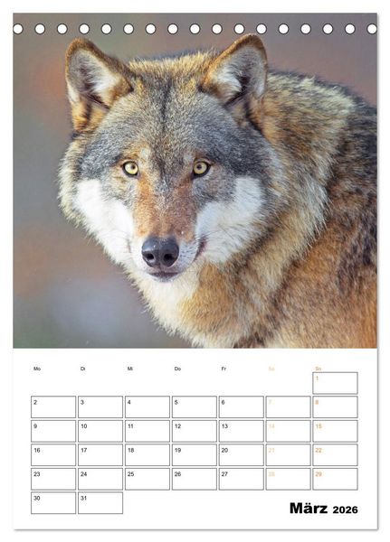Produktbild: Wilde Tiere: Zuhause in Wald und Flur (Tischkalender 2026 DIN A5 hoch), CALVENDO Monatskalender