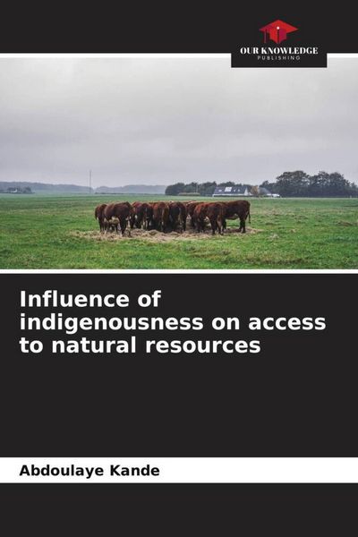 Produktbild: Influence of indigenousness on access to natural resources