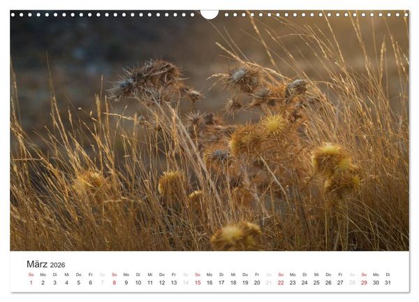 Produktbild: Kreta. Im S&uuml;den (Wandkalender 2026 DIN A3 quer), CALVENDO Monatskalender