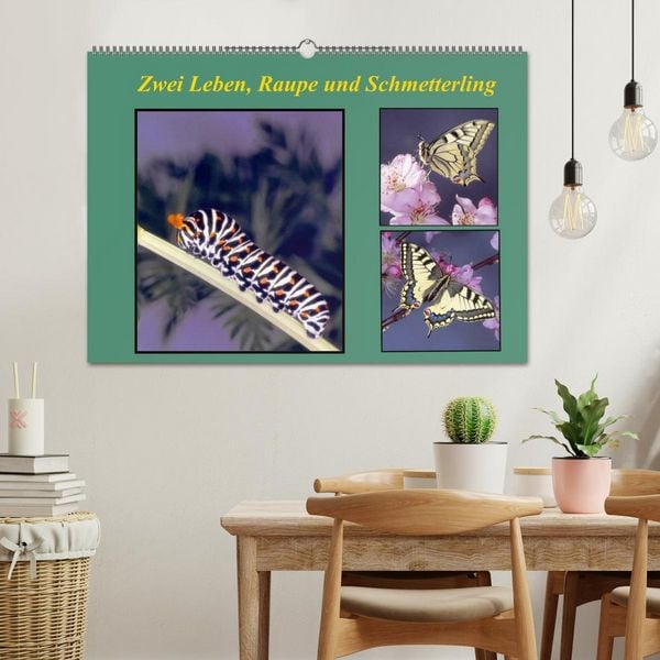 Produktbild: Zwei Leben, Raupe und Schmetterling (Wandkalender 2026 DIN A2 quer), CALVENDO Monatskalender