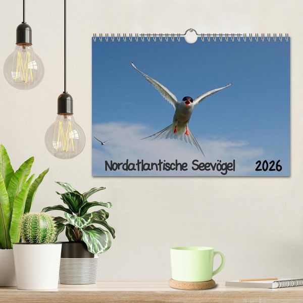 Produktbild: Nordatlantische Seev&ouml;gel (Wandkalender 2026 DIN A4 quer), CALVENDO Monatskalender
