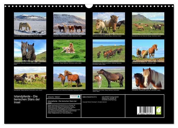 Produktbild: Islandpferde - Die tierischen Stars der Insel (Wandkalender 2026 DIN A3 quer), CALVENDO Monatskalender