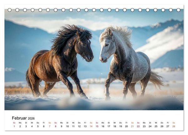 Produktbild: Islandpferde - Freiheit im Blick (Tischkalender 2026 DIN A5 quer), CALVENDO Monatskalender
