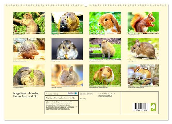 Produktbild: Nagetiere. Hamster, Kaninchen und Co. (hochwertiger Premium Wandkalender 2026 DIN A2 quer), Kunstdruck in Hochglanz