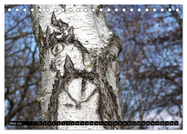 Produktbild: Magische Waldwesen (Tischkalender 2026 DIN A5 quer), CALVENDO Monatskalender