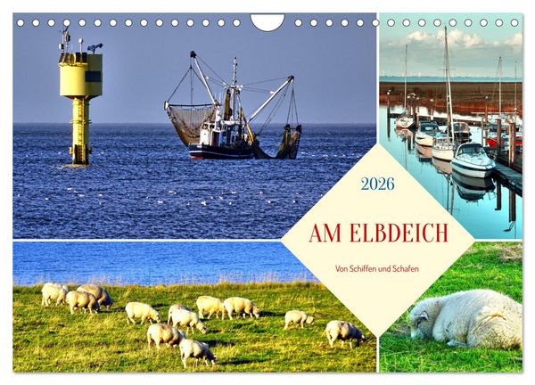 Produktbild: Am Elbdeich - Von Schiffen und Schafen (Wandkalender 2026 DIN A4 quer), CALVENDO Monatskalender