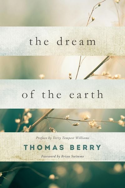 Produktbild: The Dream of the Earth