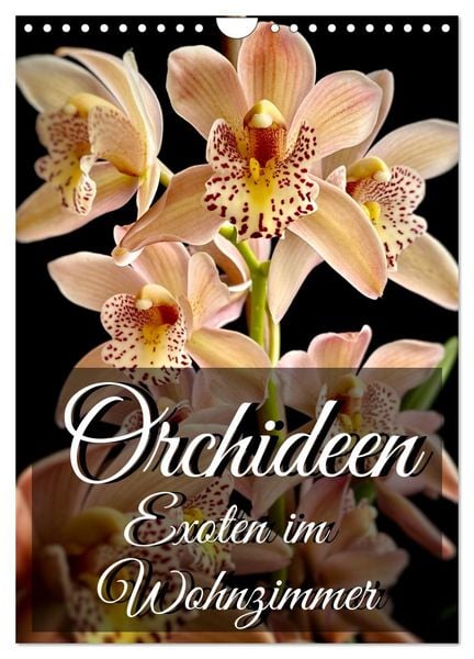 Produktbild: Orchideen - Exoten im Wohnzimmer (Wandkalender 2026 DIN A4 hoch), CALVENDO Monatskalender