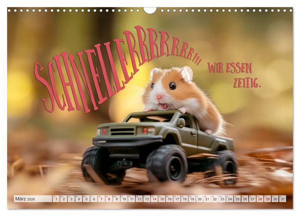 Produktbild: Hamsterhumor - Kleine Zuckerschnute, aber oho (Wandkalender 2026 DIN A3 quer), CALVENDO Monatskalender