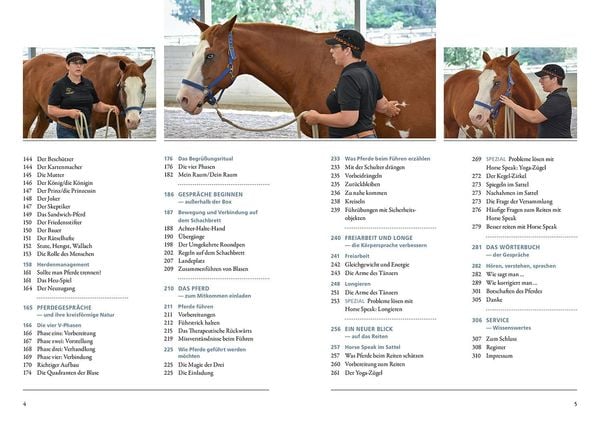 Produktbild: Sprachkurs Pferd - Das Trainingsbuch
