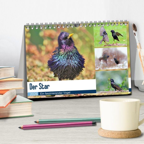 Produktbild: Der Star (Tischkalender 2026 DIN A5 quer), CALVENDO Monatskalender