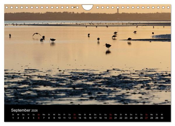 Produktbild: Sylt-Abende - Fotografien von Beate Zoellner (Wandkalender 2026 DIN A4 quer), CALVENDO Monatskalender