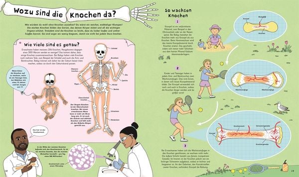 Produktbild: Wie kommt der Popel in die Nase?