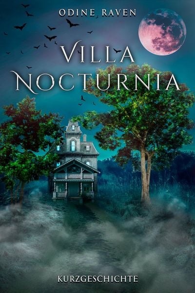Produktbild: Villa Nocturnia