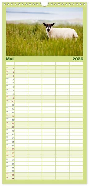 Produktbild: Familienplaner 2026 - Unter Schafen - Wegbegleiter auf Reisen mit 5 Spalten (Wandkalender, 21 x 45 cm) CALVENDO
