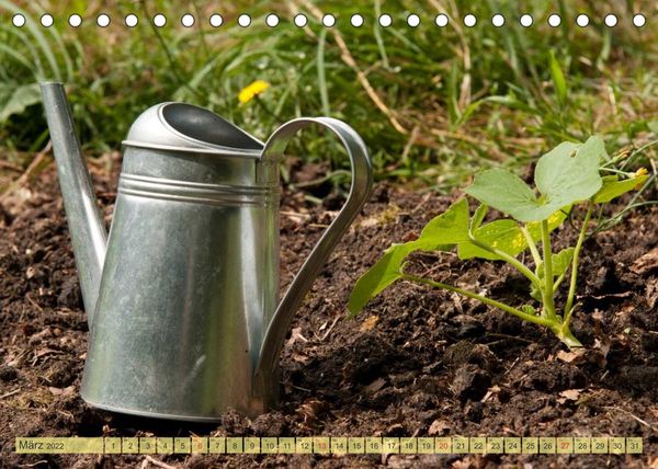 Produktbild: Bauerngarten - bunte Vielfalt (Tischkalender 2022 DIN A5 quer)