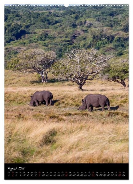 Produktbild: S&uuml;dafrika - Sehenswerte Panorama Route (Wandkalender 2026 DIN A2 hoch), CALVENDO Monatskalender