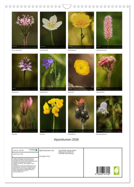 Produktbild: Alpenblumen 2026 (Wandkalender 2026 DIN A3 hoch), CALVENDO Monatskalender
