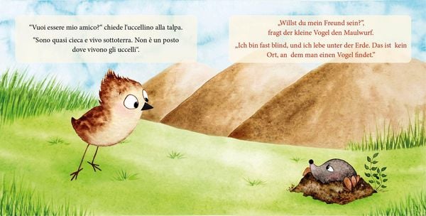Produktbild: Flieg, kleiner Vogel. - Vola, uccellino.