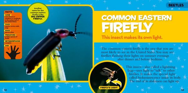 Produktbild: Little Kids First Big Book of Bugs
