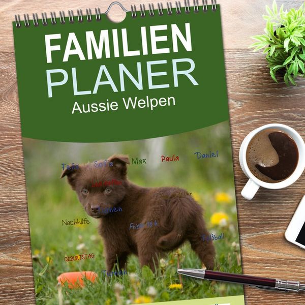 Produktbild: Familienplaner 2026 - Aussie Welpen 2026 mit 5 Spalten (Wandkalender, 21 x 45 cm) CALVENDO