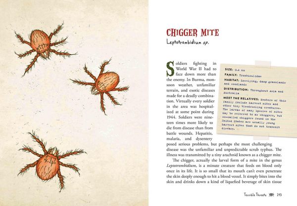 Produktbild: Wicked Bugs (Young Readers Edition)