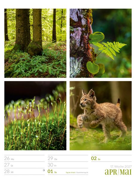 Produktbild: Farben der Natur Wochenplaner Kalender 2027