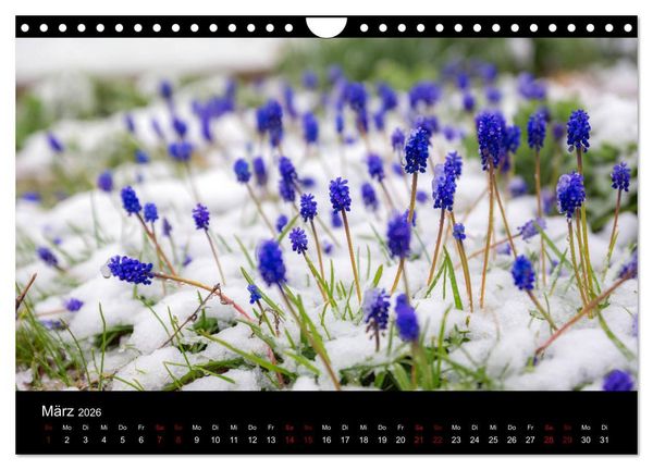 Produktbild: Naturwunder Norddeutschlands (Wandkalender 2026 DIN A4 quer), CALVENDO Monatskalender