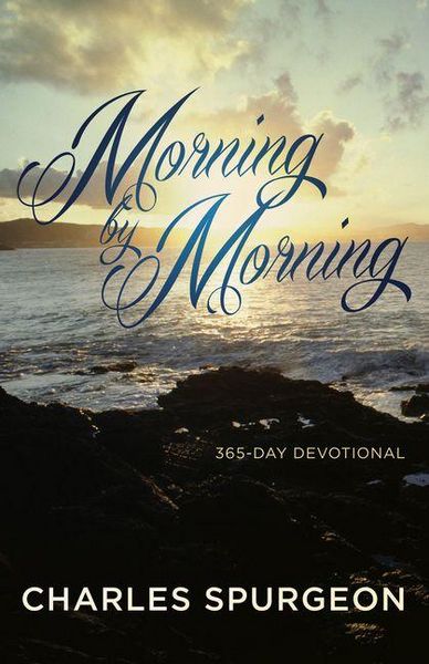 Produktbild: Morning by Morning