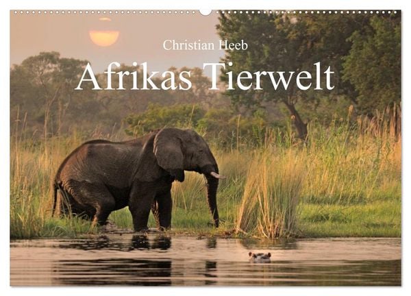 Produktbild: Afrikas Tierwelt Christian Heeb (Wandkalender 2026 DIN A2 quer), CALVENDO Monatskalender