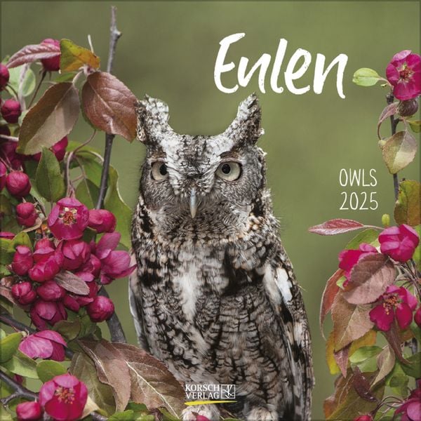 Eulen 2025