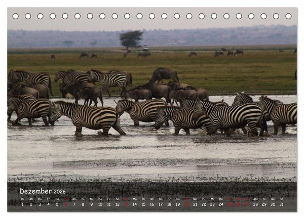 Produktbild: Wildes Ostafrika - Tansania und Kenia hautnah (Tischkalender 2026 DIN A5 quer), CALVENDO Monatskalender
