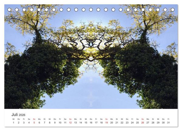Produktbild: Spiegelwelten - Natur anders sehen (Tischkalender 2026 DIN A5 quer), CALVENDO Monatskalender