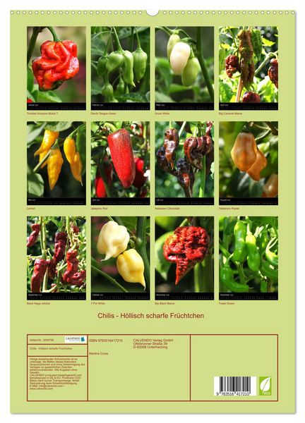 Produktbild: Chilis - H&ouml;llisch scharfe Fr&uuml;chtchen (hochwertiger Premium Wandkalender 2026 DIN A2 hoch), Kunstdruck in Hochglanz