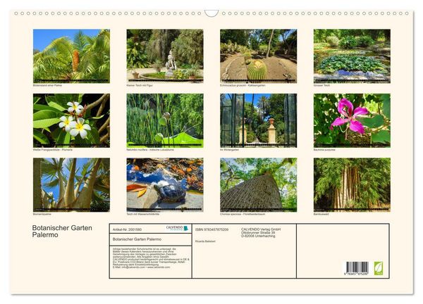 Produktbild: Botanischer Garten Palermo (Wandkalender 2026 DIN A2 quer), CALVENDO Monatskalender