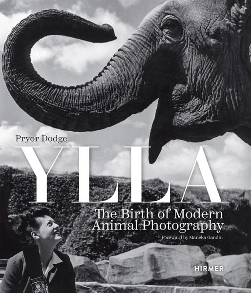 Produktbild: Ylla