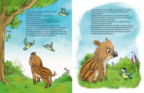 Produktbild: Wie f&uuml;hlt der Wald?